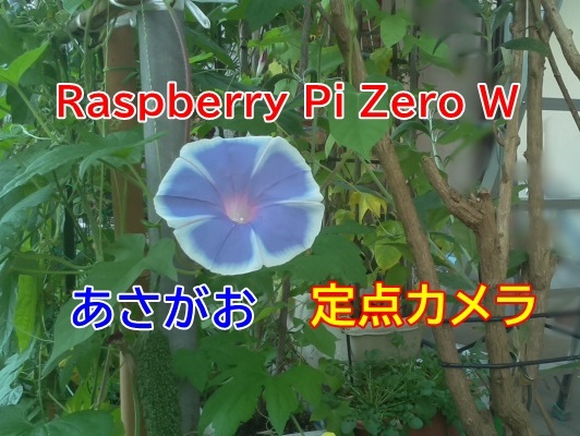 Raspberry Piでアサガオ定点カメラ